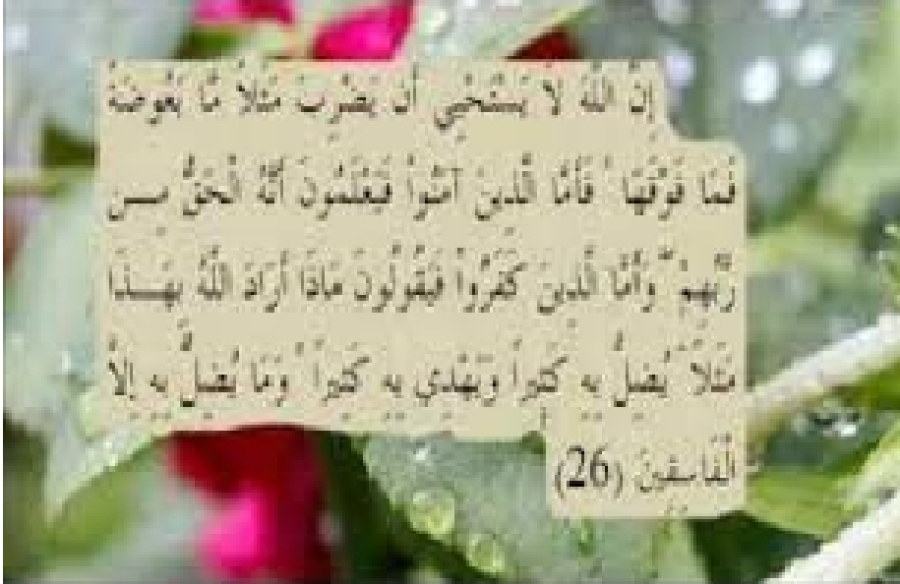 Les exemples du Coran, une épreuve divine pour les croyants et les mécréants