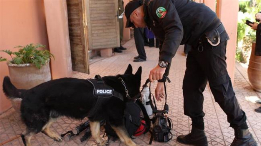 Les forces de sécurité marocaines ont démantelé une cellule terroriste liée à Daech