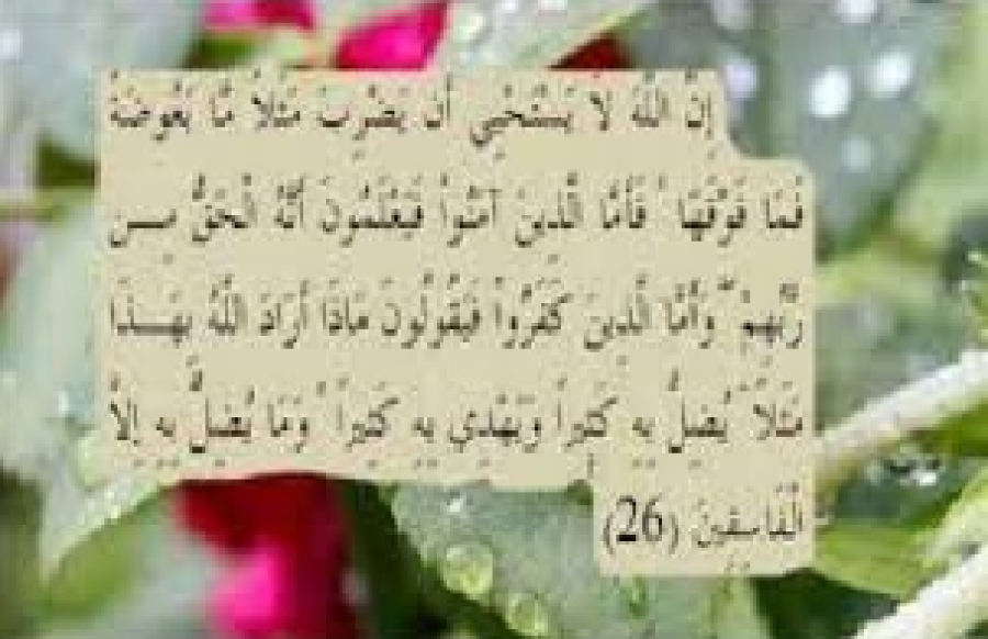 Les exemples du Coran, une épreuve divine pour les croyants et les mécréants