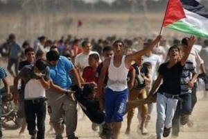 Des dizaines de Palestiniens blessés par les militaires israéliens