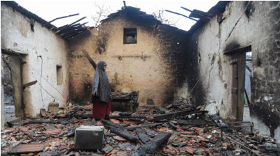 Après les incendies meurtriers, l’Algérie lance un plan en cinq points pour reconstruire et indemniser