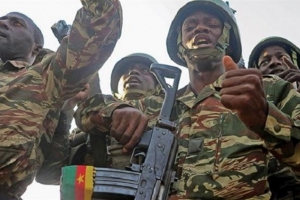 Au Cameroun, plus de 5000 personnes ont été libérées