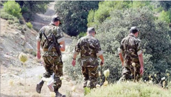 Algérie: démantèlement de deux cachettes des terroristes