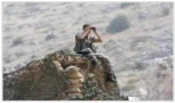 &quot;Si l&#039;Iran et le Hezbollah entrent en scène la guerre sera longue et douloureuse&quot; (Israël) 