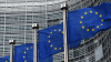 Neuf pays occidentaux et l’Union européenne rejettent le projet d’occupation totale de Gaza