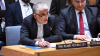 Le droit de la Palestine à l'autodétermination et à un État indépendant est « non négociable » (Iravani)