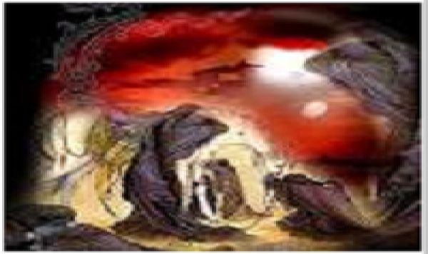 La journée du 10 Moharram