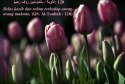 hadith-id-005