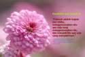 hadith-id-006