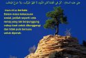 hadith-id-011