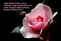 hadith-id-024