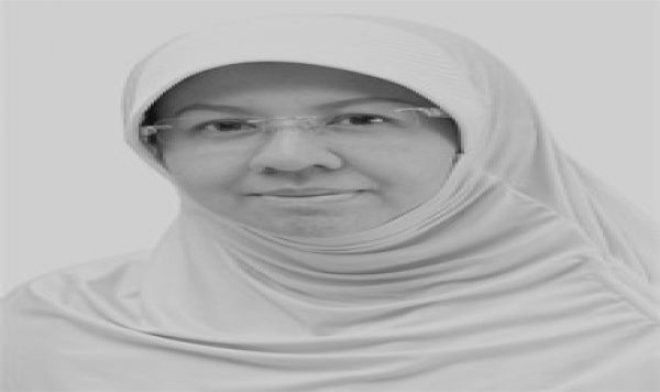 Boikot Israel, Perlawanan Tanpa Mesiu 
