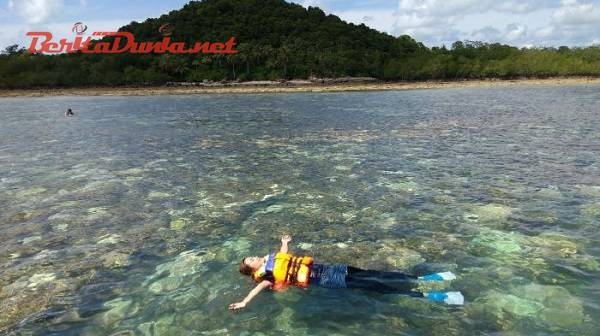 Pulau Kelapan Pesona Keindahan Bawah Laut