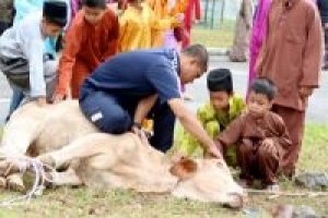 Idul Qurban, Hari Kebebasan dari Keterikatan Dunia