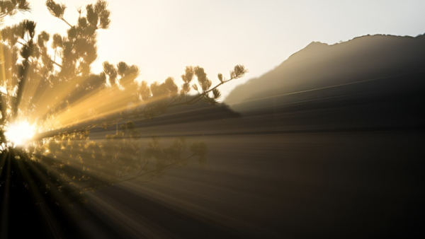 Mengapa Islam Menekankan Tanggung Jawab Individu dan Sosial?