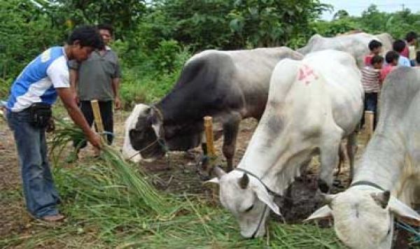 Dam Jemaah Indonesia Capai Rp 300 Miliar 
