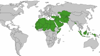 Mengenal Populasi Muslim Dunia (01)