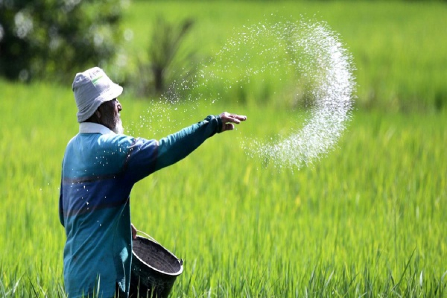 Obrolan Rasulullah Dengan Petani Saleh