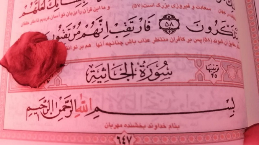 Surat Al Jathiya ayat 33-37