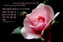 hadith-in-020