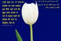 hadith-in-069