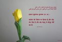 hadith-in-099