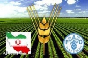 विश्व खाद्य संगठन की ओर से ईरान को सम्मान