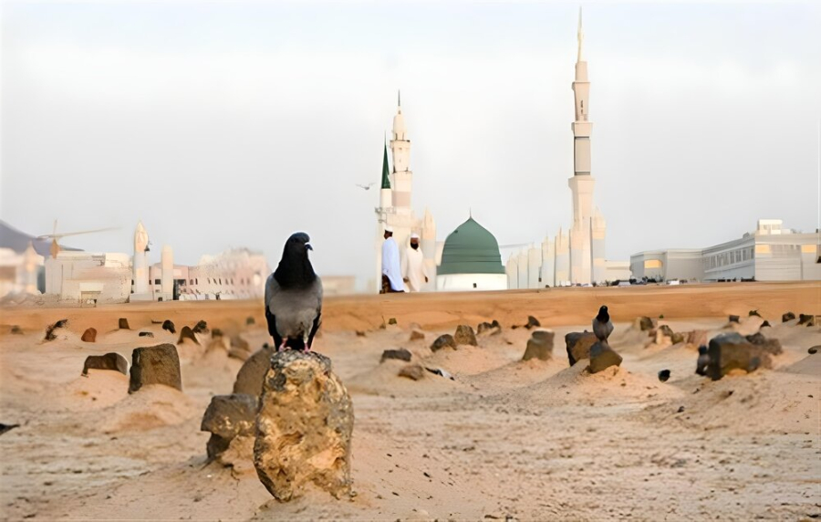 क्या जनाबे फिज़्ज़ा सबसे पहले जन्नत जाएंगी?