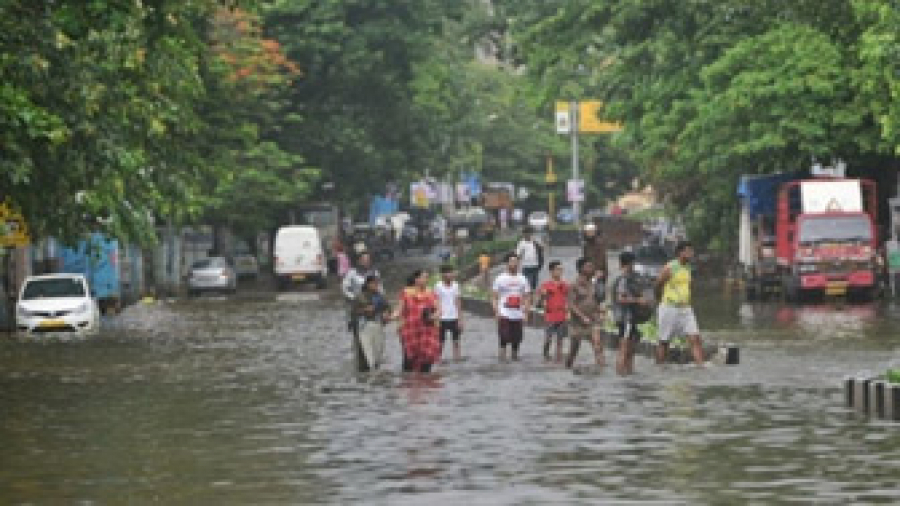 मुम्बई में भारी बारिश से अब तक कम से कम 8 लोगों की मौत