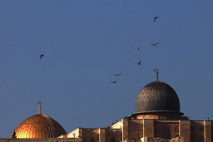 मस्जिदुल अक़्सा के बारे में दुनिया को गुमराह कर रहा है इस्राईल