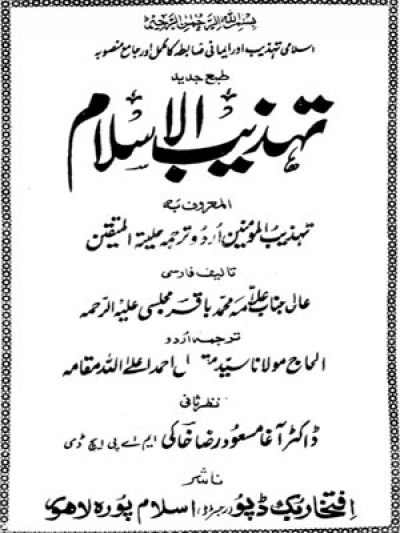 Tehzeeb-ul-Islam