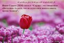 hadith-ru-005