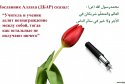 hadith-ru-028