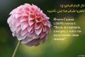 hadith-ru-030