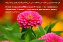 hadith-ru-064