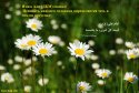 hadith-ru-070