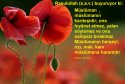 hadith-tr-055