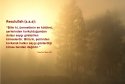 hadith-tr-077