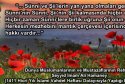 islam-birligi-015