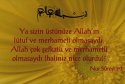 islam-birligi-026