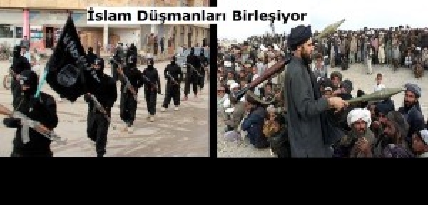 Taliban’dan IŞİD’e Biat