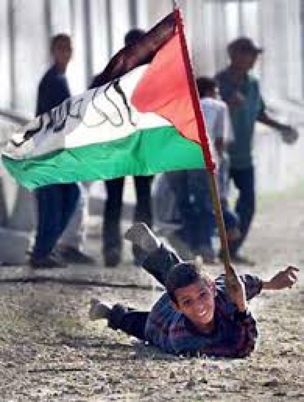 İran’ın BM Viyana temsilcisi Necefi: Filistin’de barış ancak işgalin son bulması ile gerçekleşir