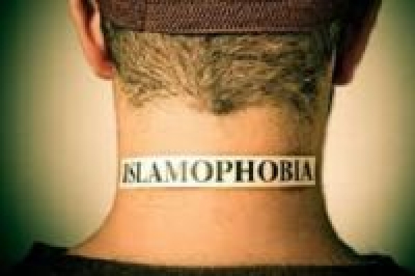 Fransa’da İslamofobi, Almanya’da İslamofobi’yle Mücadele