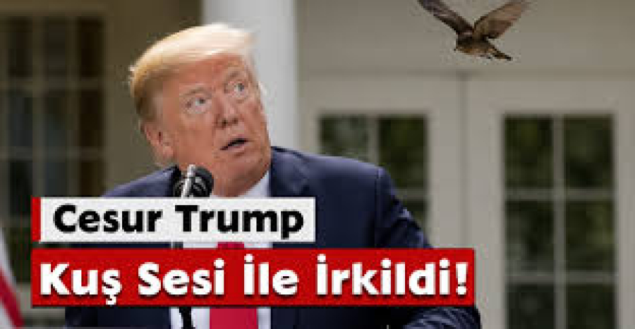 Cesur Trump Kuş Sesi İle İrkildi!