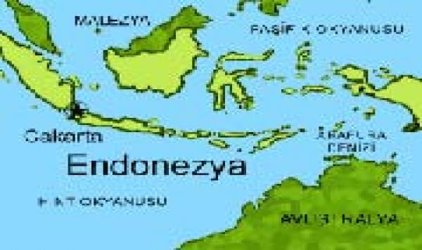 Endonezya