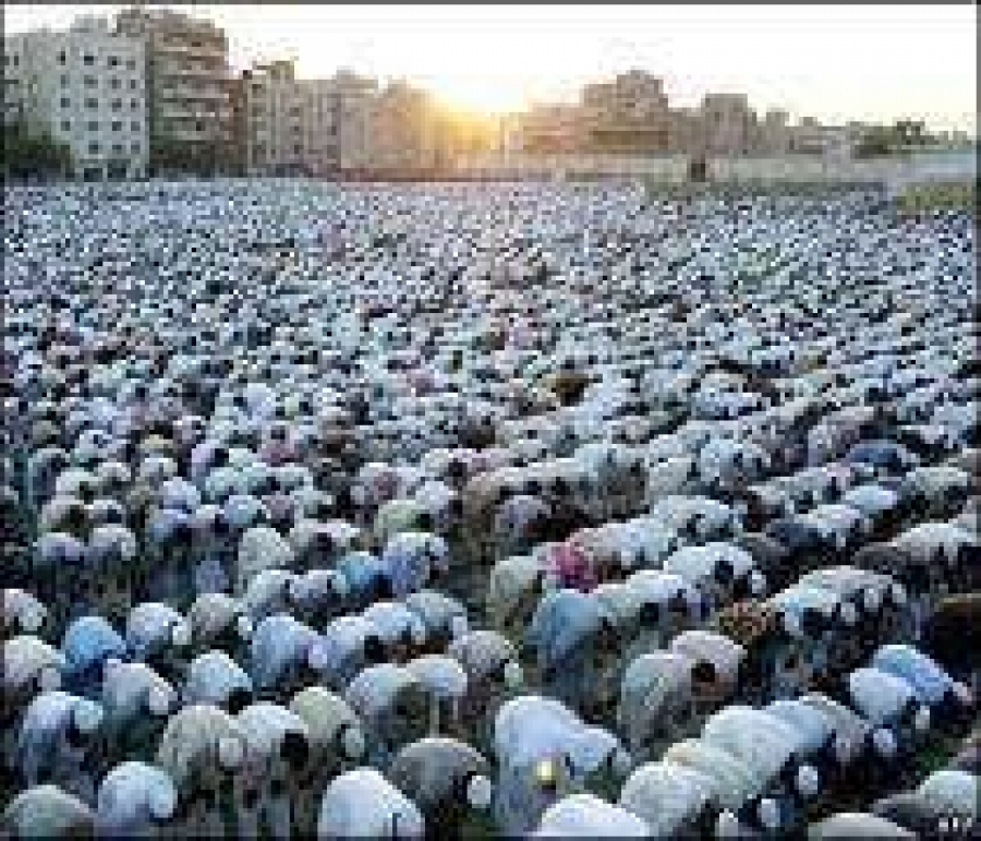 En Güzel İbadet Namaz