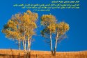 hadith-ur-058