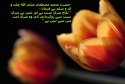 hadith-ur-061