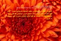 hadith-ur-083