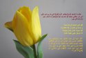 hadith-ur-109